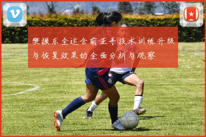 樊振东全运会前正手技术训练升级与恢复效果的全面分析与观察