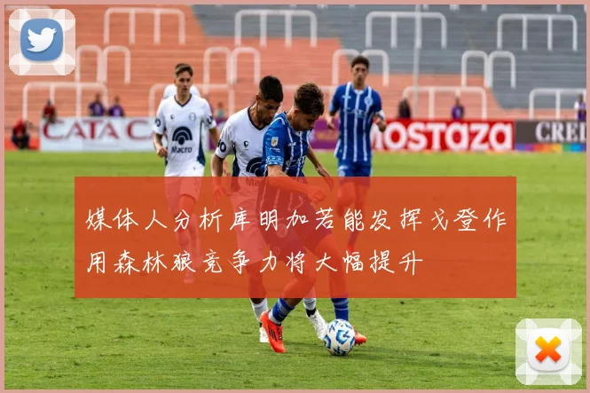 媒体人分析库明加若能发挥戈登作用森林狼竞争力将大幅提升
