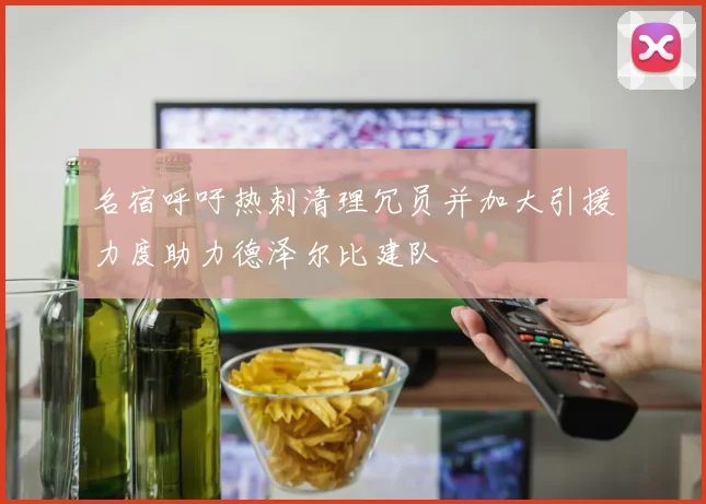 名宿呼吁热刺清理冗员并加大引援力度助力德泽尔比建队