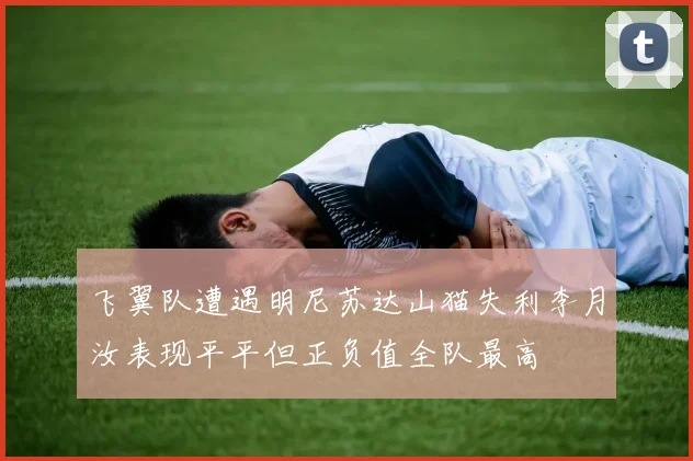 飞翼队遭遇明尼苏达山猫失利李月汝表现平平但正负值全队最高