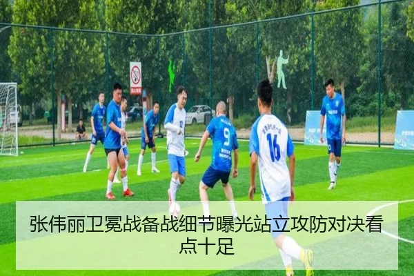 张伟丽卫冕战备战细节曝光站立攻防对决看点十足
